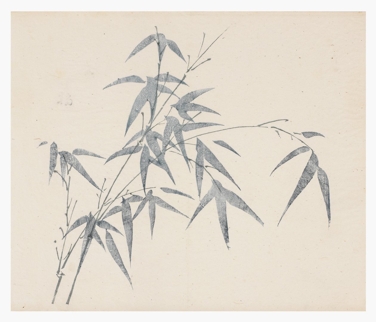 Řada Deset bambusů, 18. století od Chinese School
