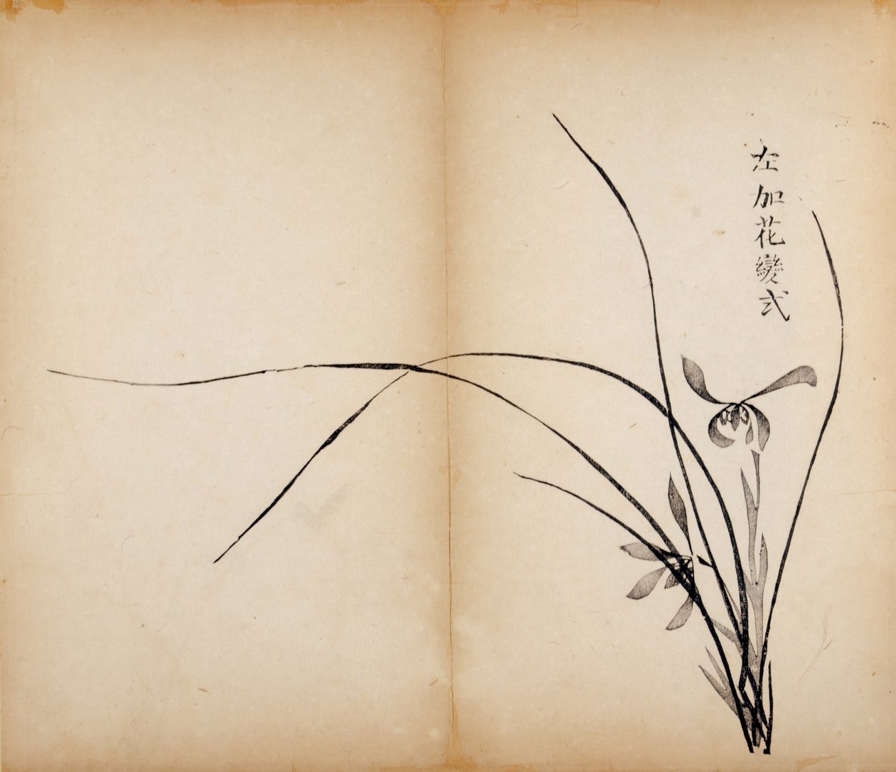Ten Bamboo Studio Prints, 1643 (dřevěný blok) od Chinese School
