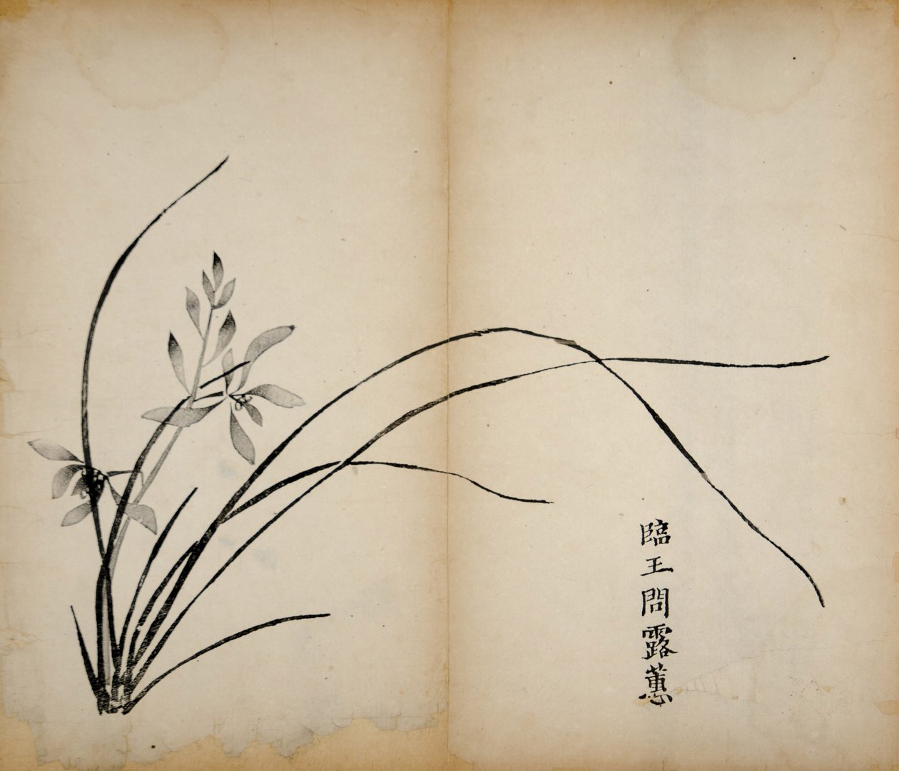 Ten Bamboo Studio Prints, 1643 (dřevěný blok) od Chinese School