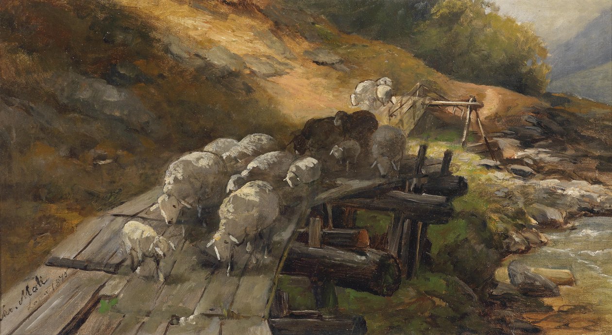 Ovce překračují řeku od Christian Mali