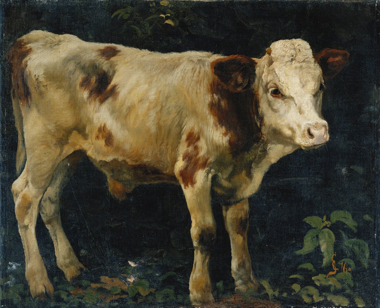 Býčí tele, 1876 od Christian Eriksen Skredsvig