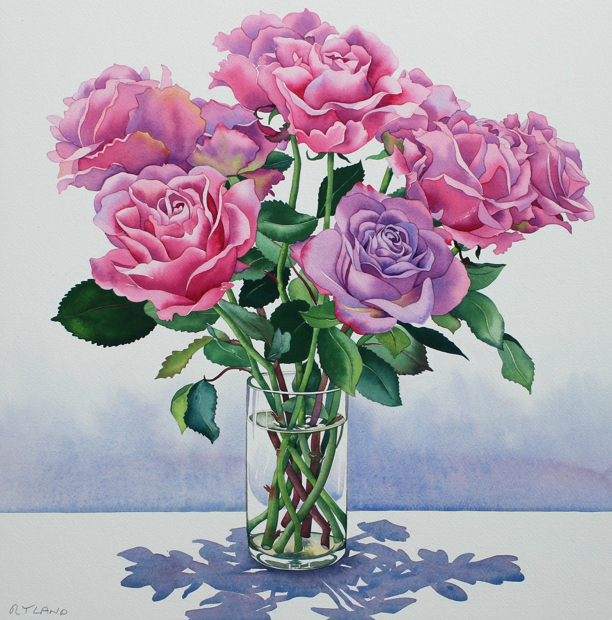 Avalanche Roses od Christopher Ryland