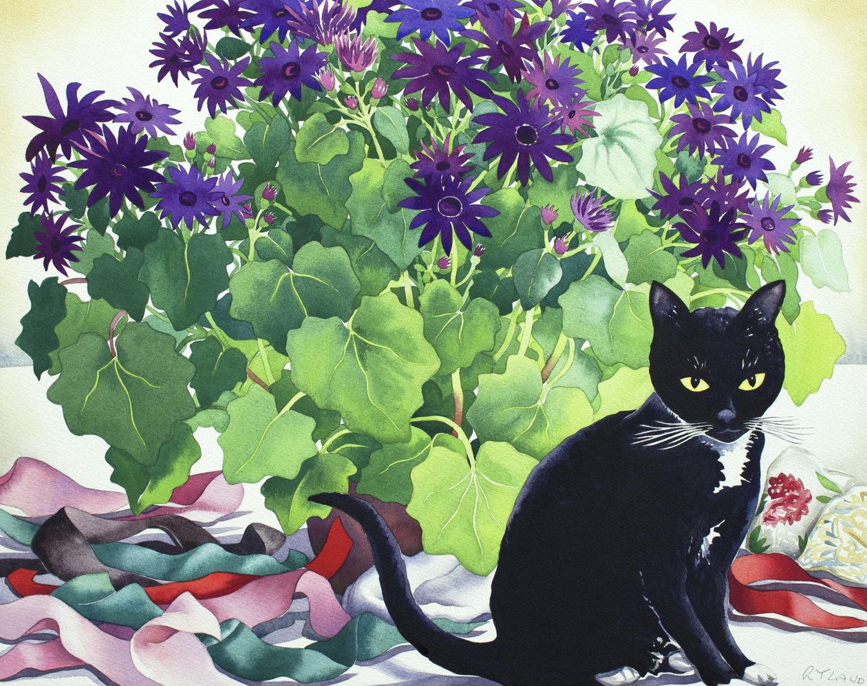 Senetti Plant a Cat od Christopher Ryland
