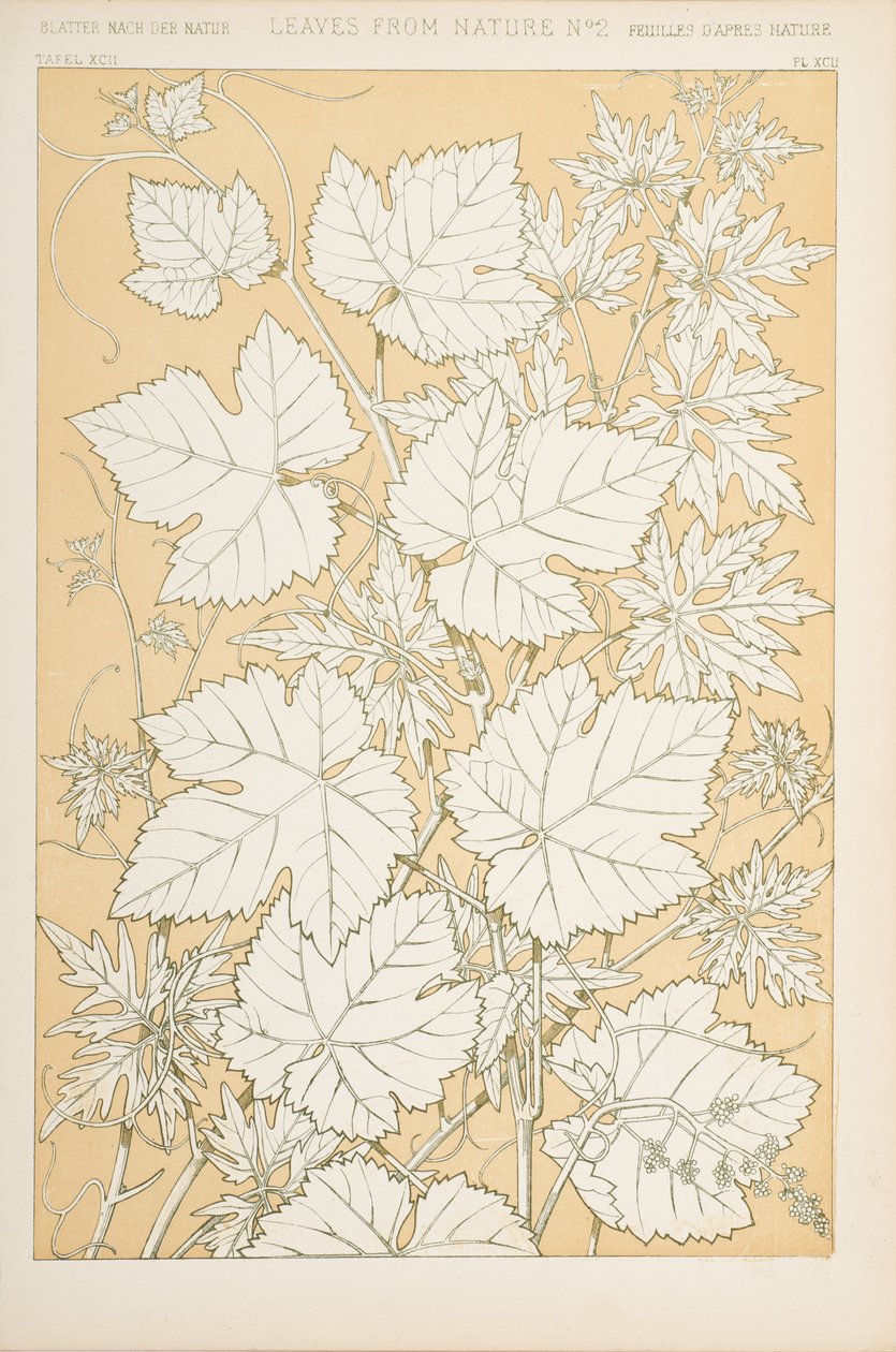 Listy z přírody, 1868 (chromolitho) od Christopher Dresser