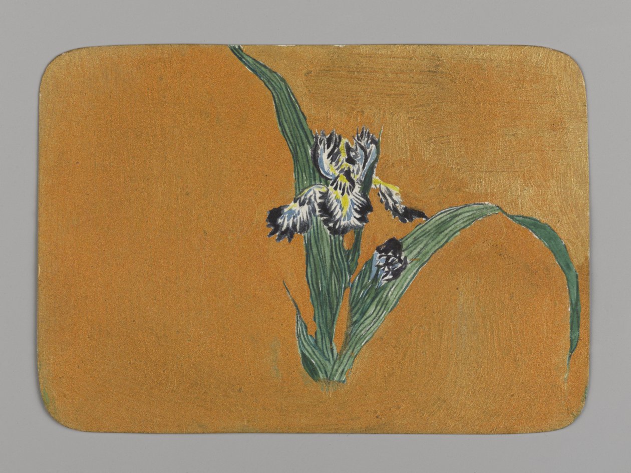 Iris (wc na papíře) od Christopher Grant La Farge