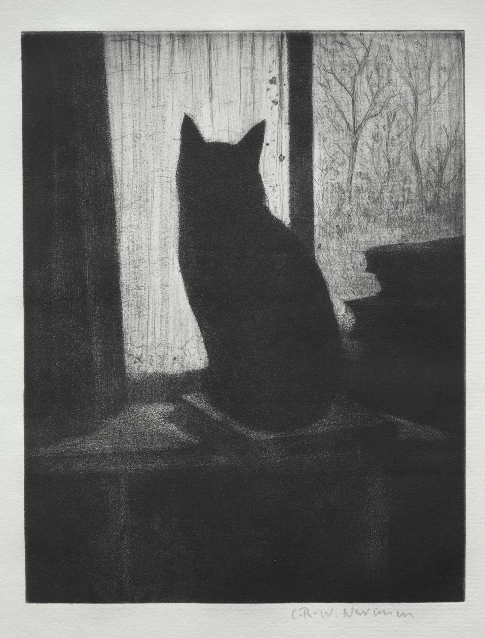 Kočka od Christopher Richard Wynne Nevinson