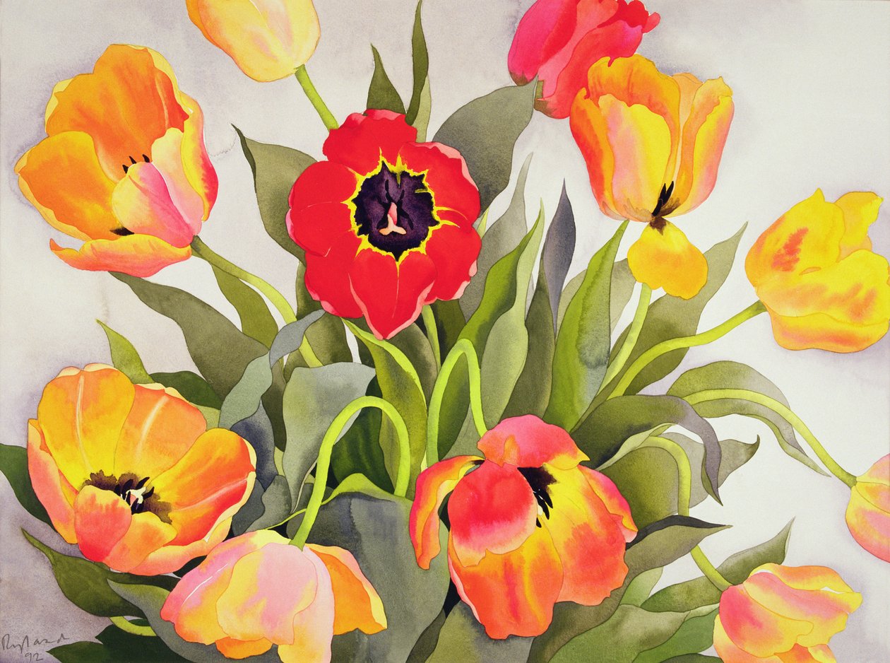 Oranžové a červené tulipány (wc) od Christopher Ryland