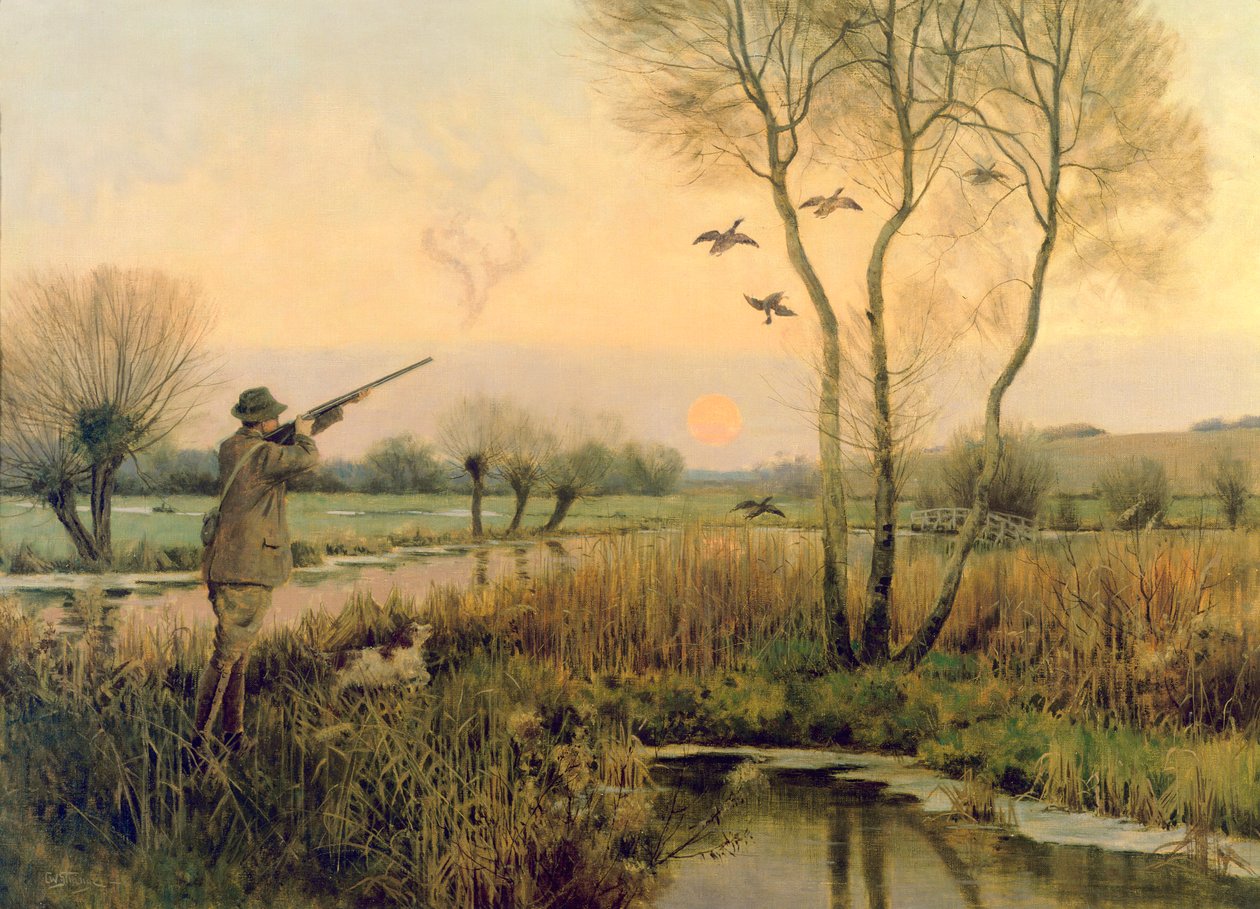 Kachna Střelba od Christopher William Strange