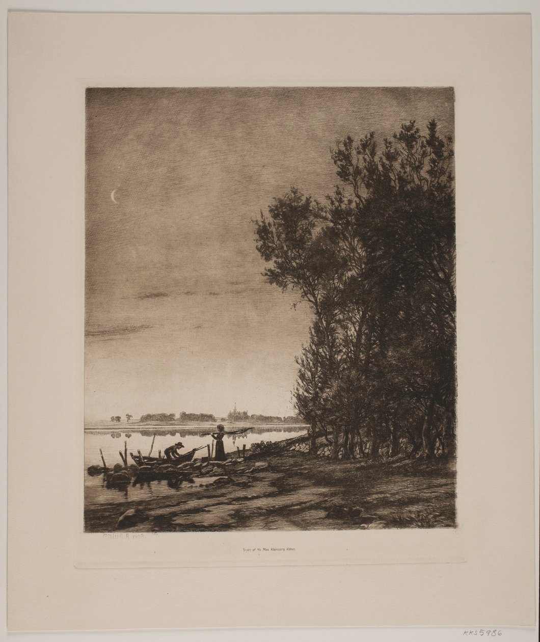 Stromy u jezera od Cilius Johannes Konrad Andersen
