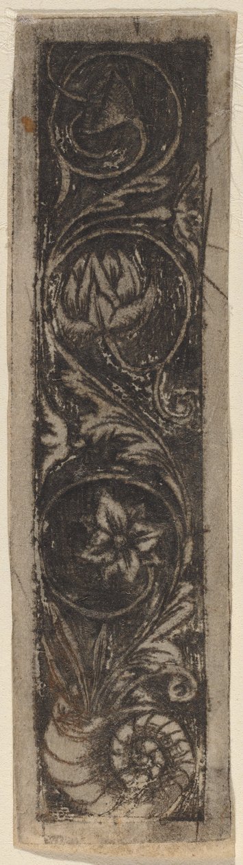 Podlouhlý Ornament Panel od Circle of Francesco Francia