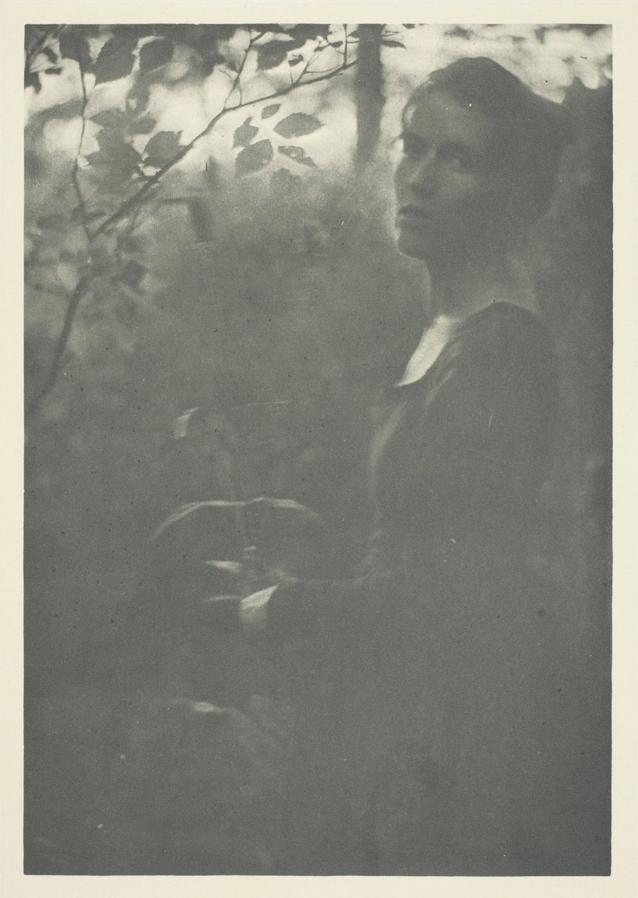 Edge of Woods od Clarence H. White