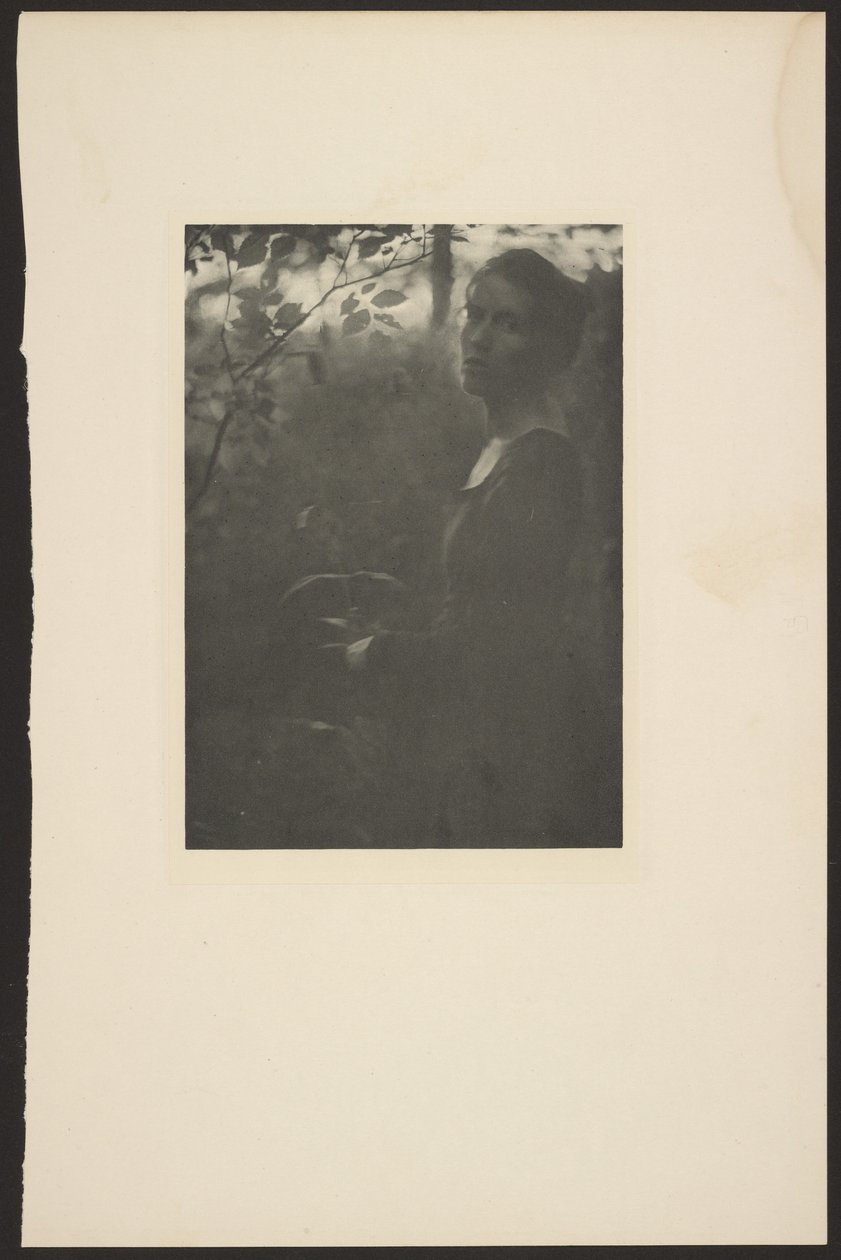 [Kraj lesa -- Večer] od Clarence H. White