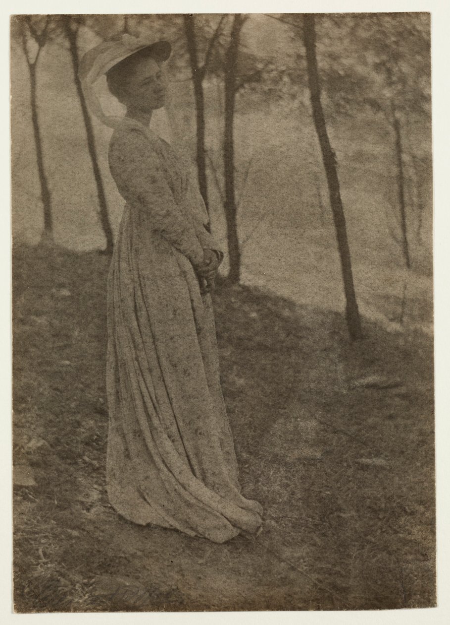 Julia Hall McCune, c. 1897. od Clarence H. White
