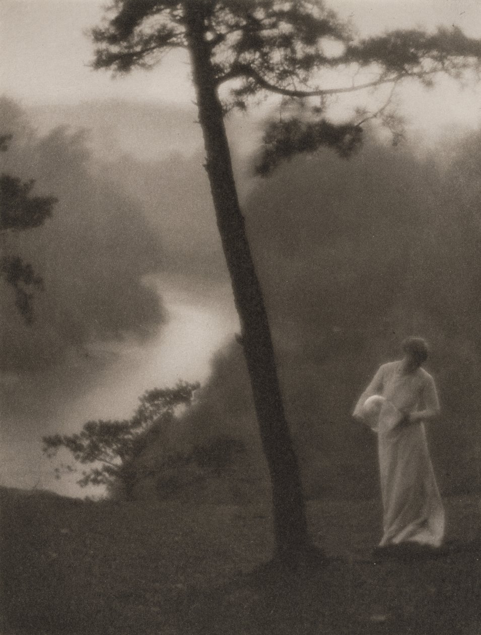 Ráno, zveřejněno v červenci 1908 (hlubotisk) od Clarence Hudson White