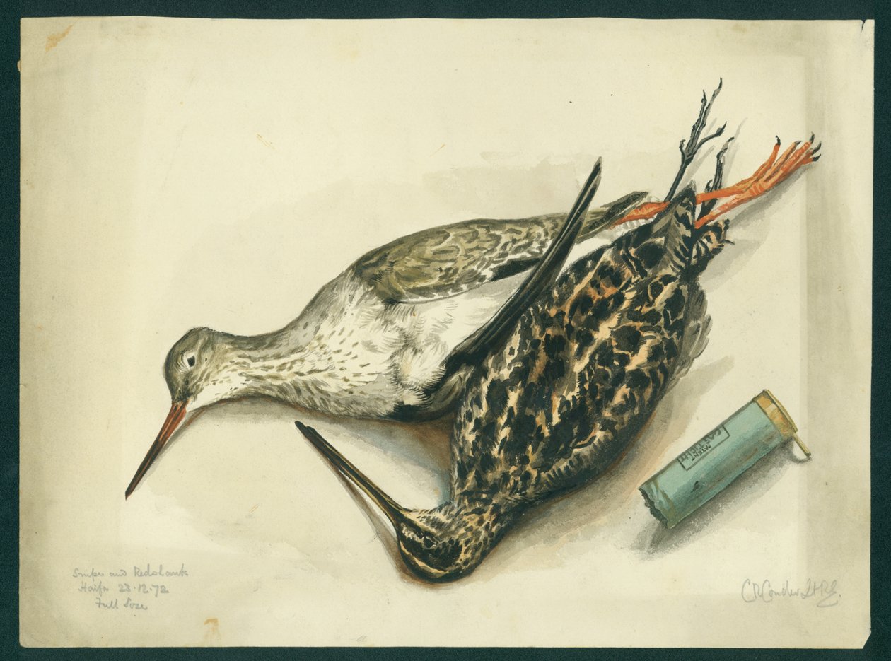 Snipe and Redshank, 1872 (wc a tužka na papíře) od Claude Conder