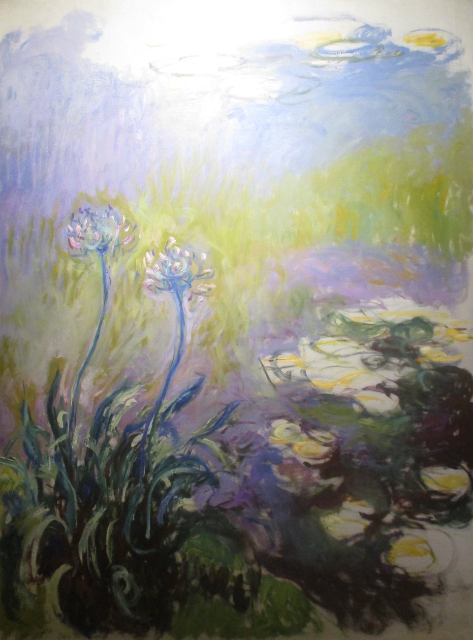 Agapanthes od Claude Monet