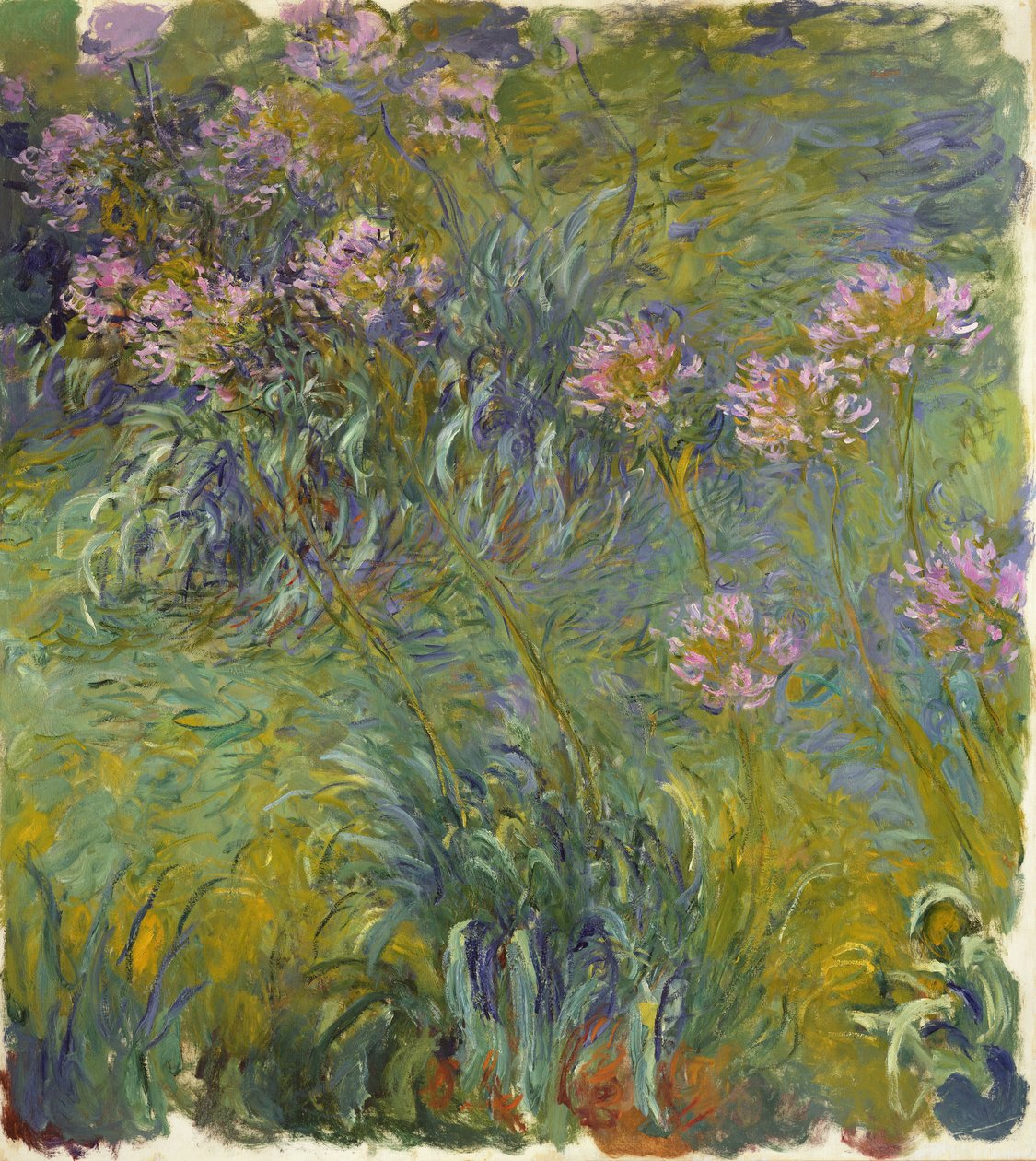 Agapanthus, 1914-26 od Claude Monet