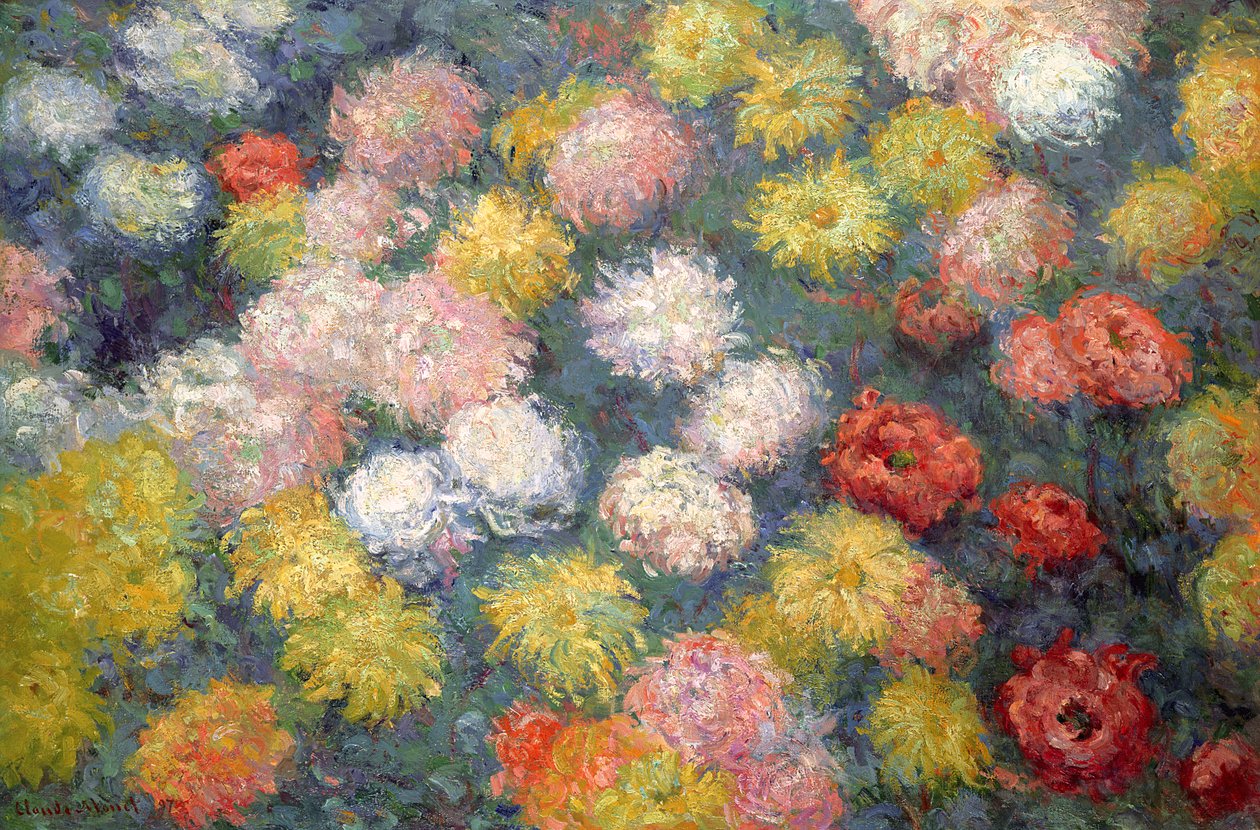 Chryzantémy, 1897 od Claude Monet