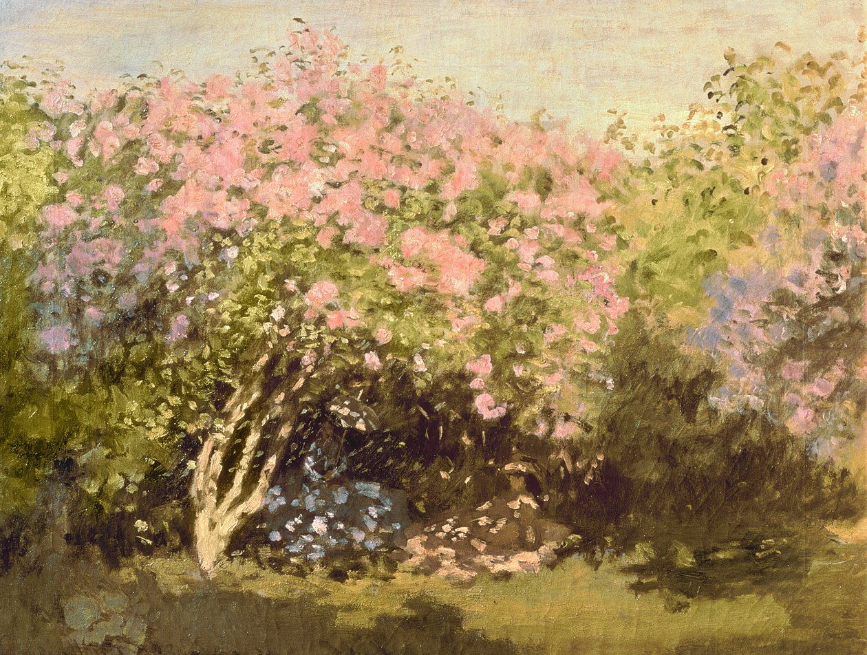 Šeřík na slunci, 1873 od Claude Monet