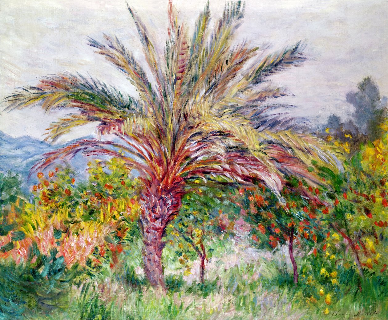 Palma v Bordighera, kolem roku 1884 od Claude Monet