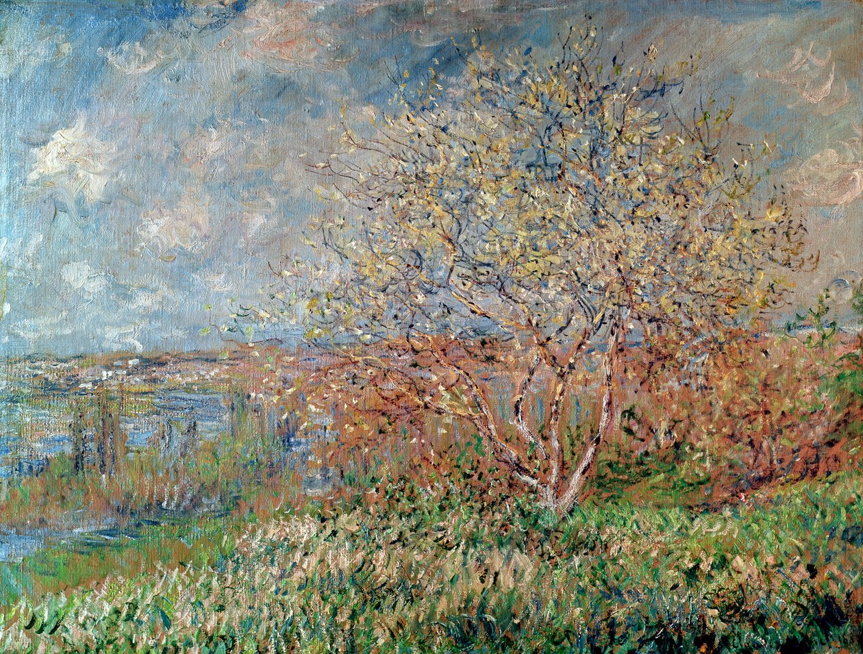 Jaro, 1880-82 od Claude Monet