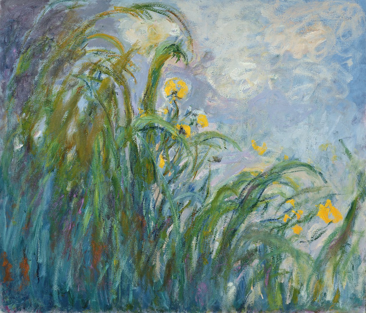 Žlutá kosatec (viz detail 414406) od Claude Monet