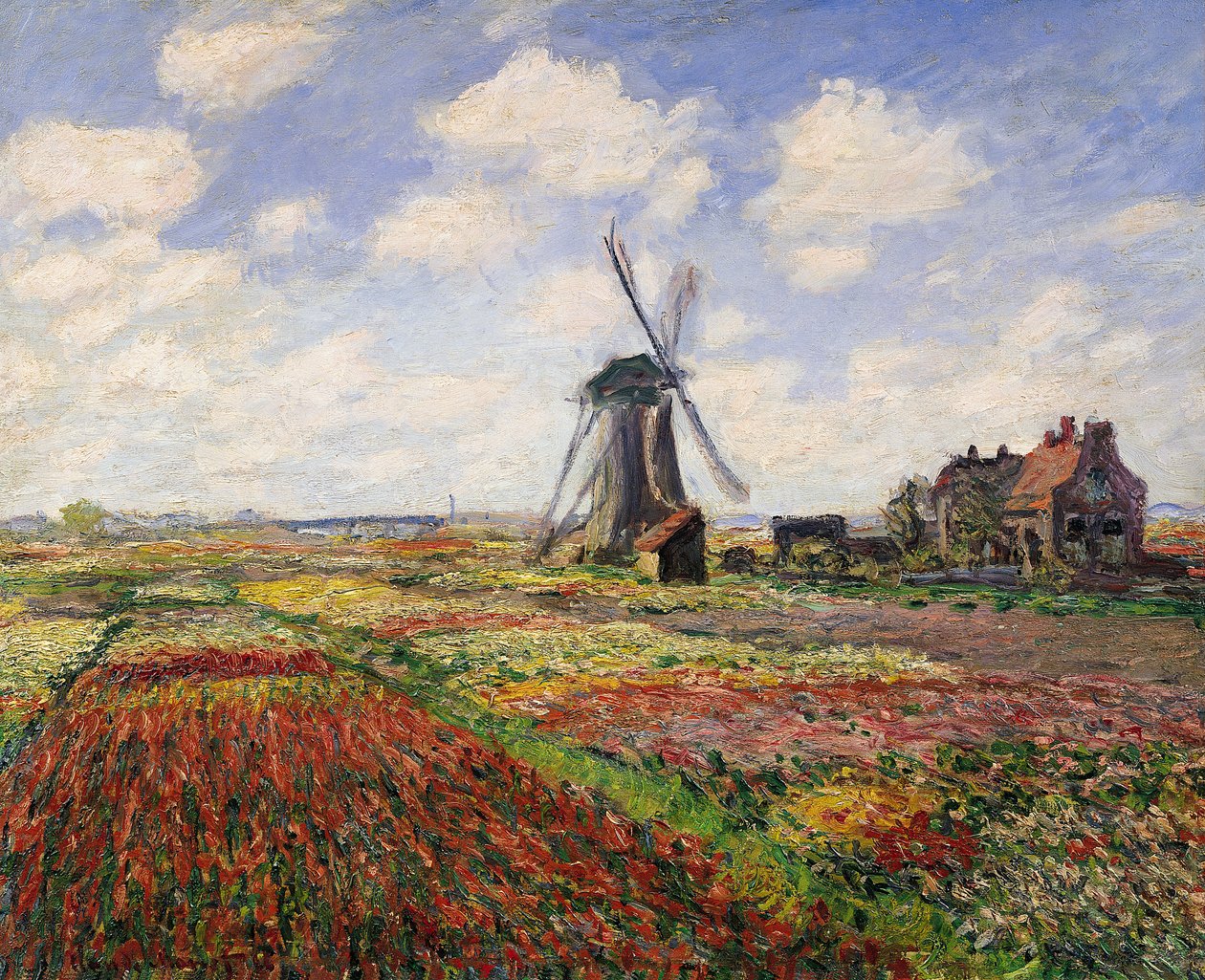 Tulipánová pole s větrným mlýnem Rijnsburg, 1886 od Claude Monet