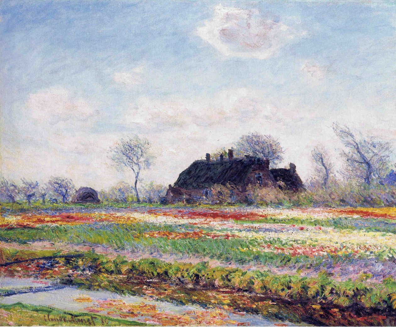 Pole tulipánů v Sassenheimu od Claude Monet