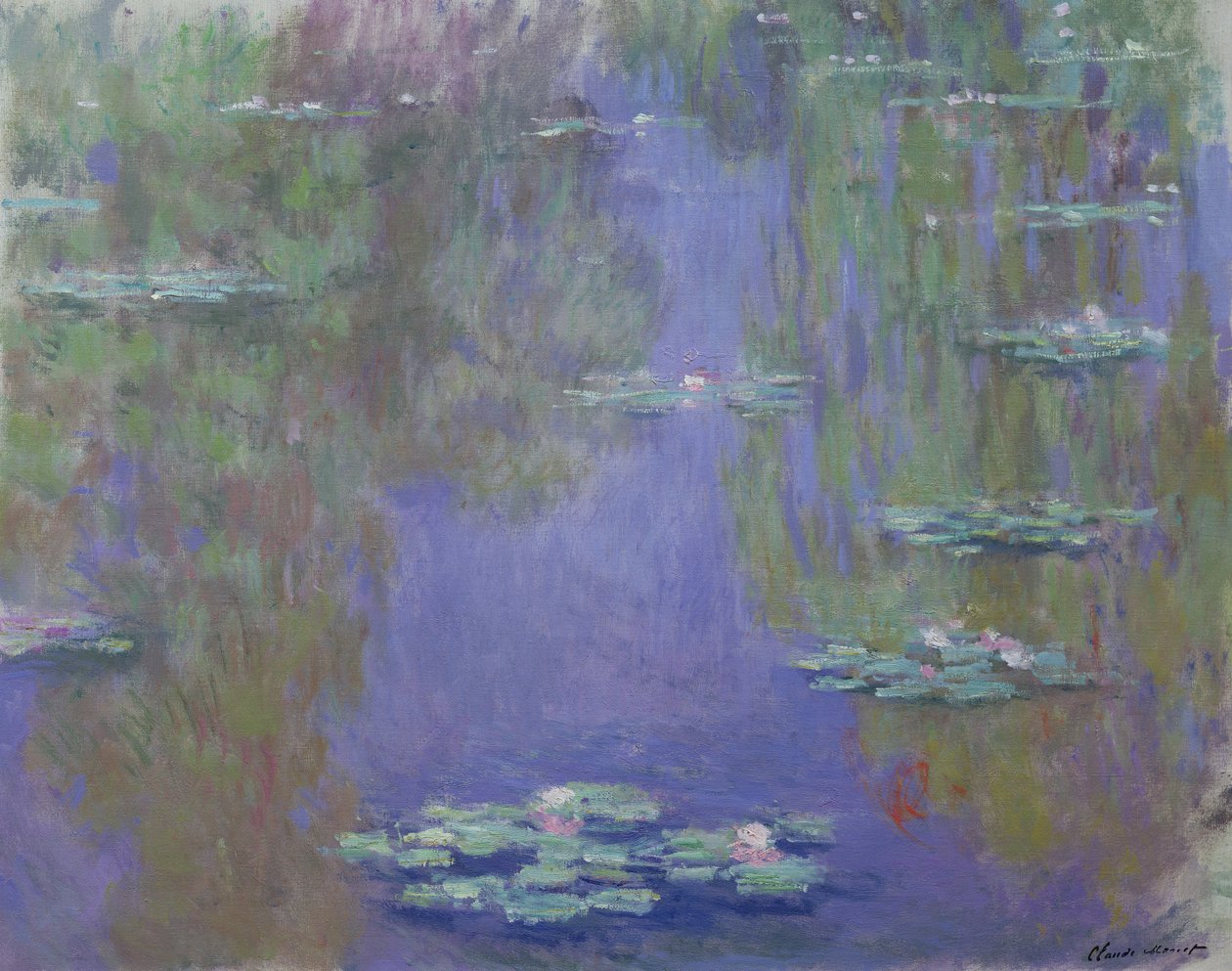 Lekníny, 1903 od Claude Monet