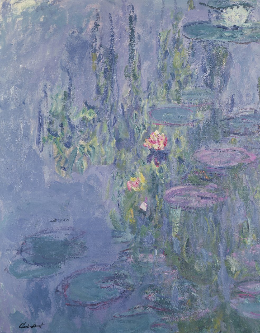 Lekníny, 1907 od Claude Monet