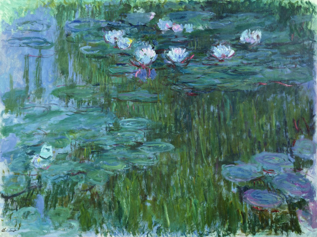 Lekníny, 1914-17 (viz detail 158601) od Claude Monet