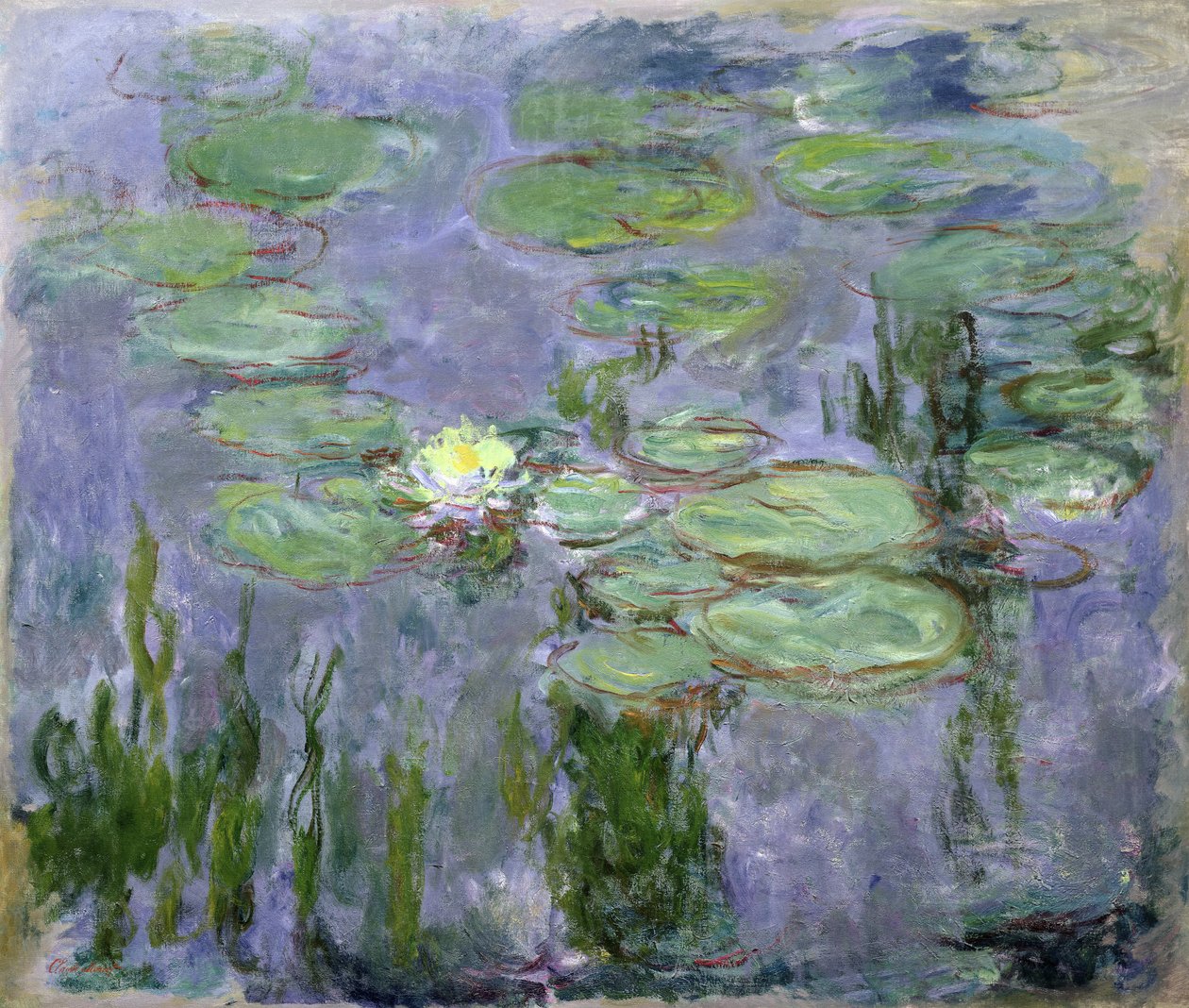 Lekníny, 1915 od Claude Monet