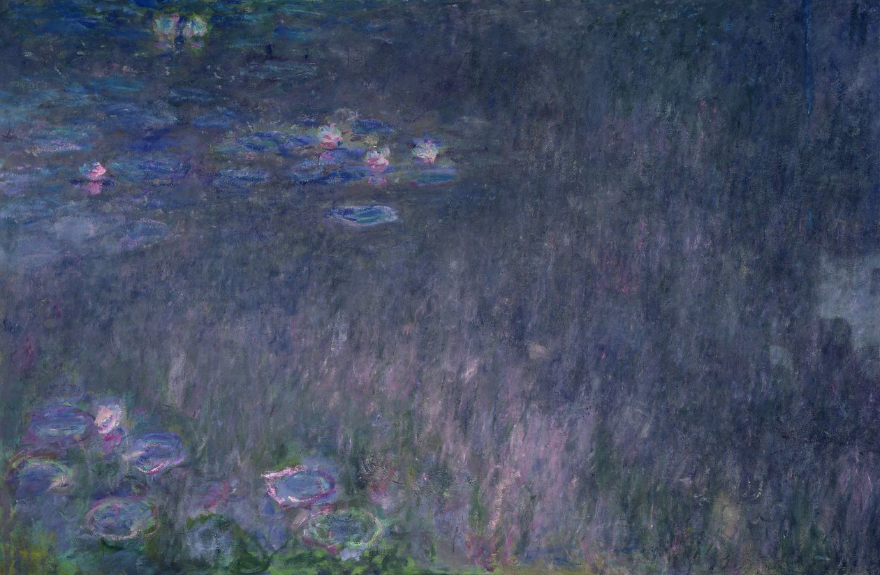 Lekníny: Odrazy stromů, detail z levé strany, 1915-26 od Claude Monet