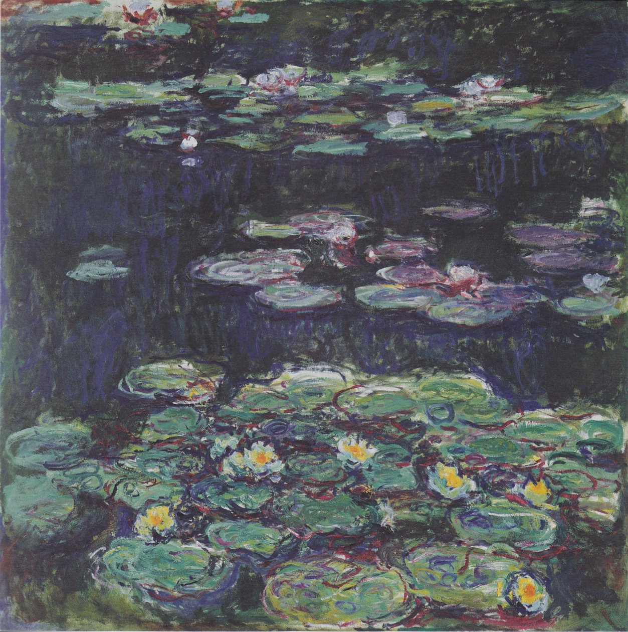 Bílé a žluté lekníny od Claude Monet