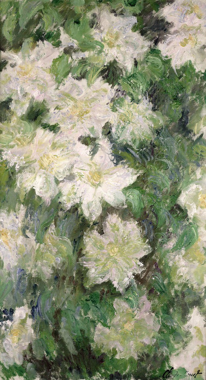 White Clematis, 1887 od Claude Monet