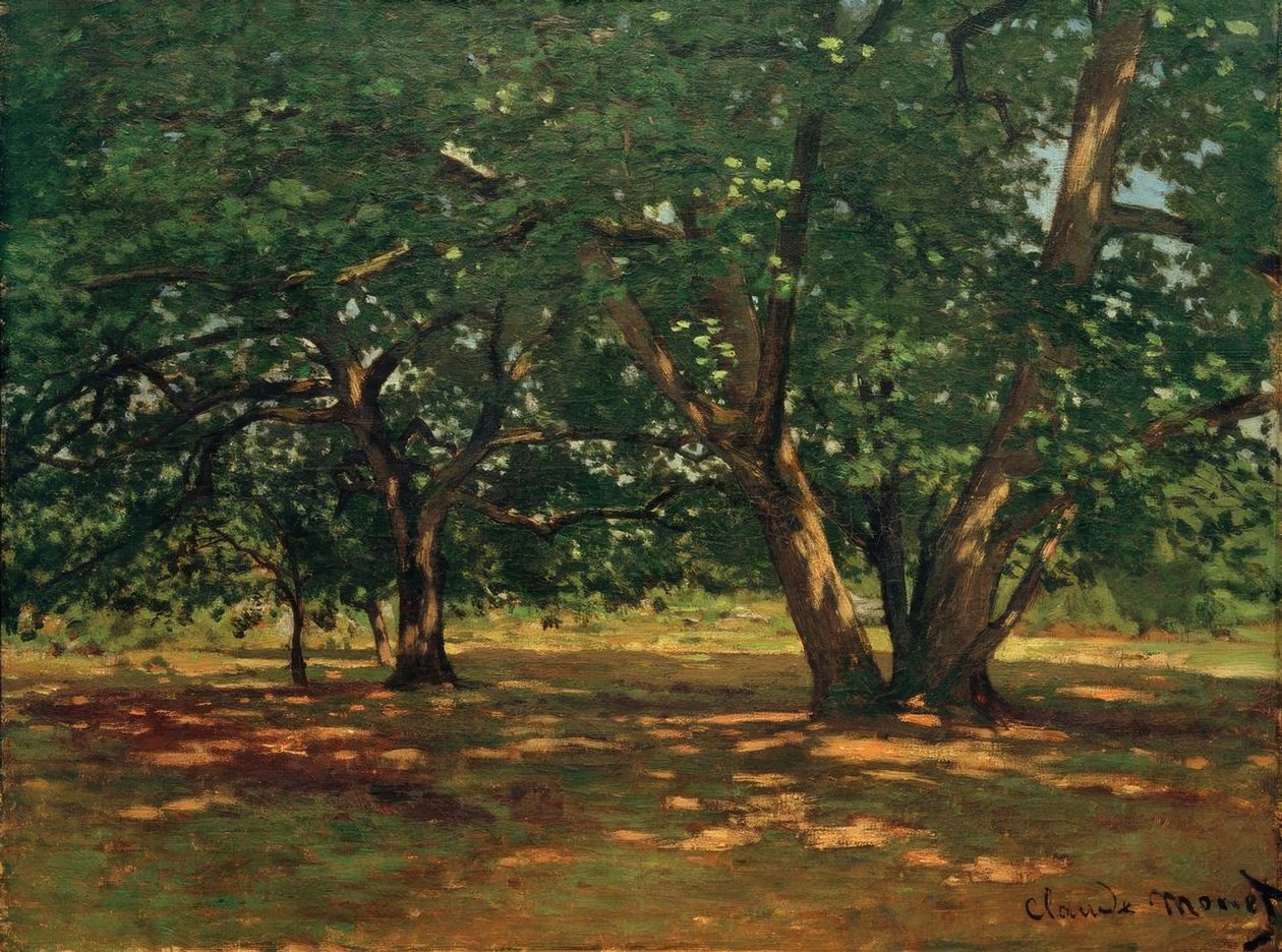 Les Fontainebleau od Claude Monet