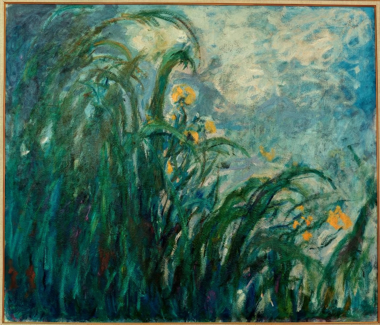Les Iris jaunes (žluté kosatce) od Claude Monet