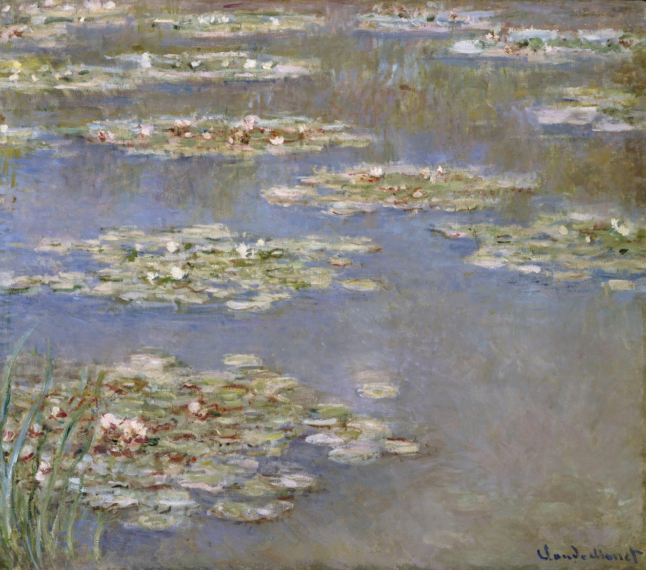 Nympheas, kolem roku 1905 od Claude Monet