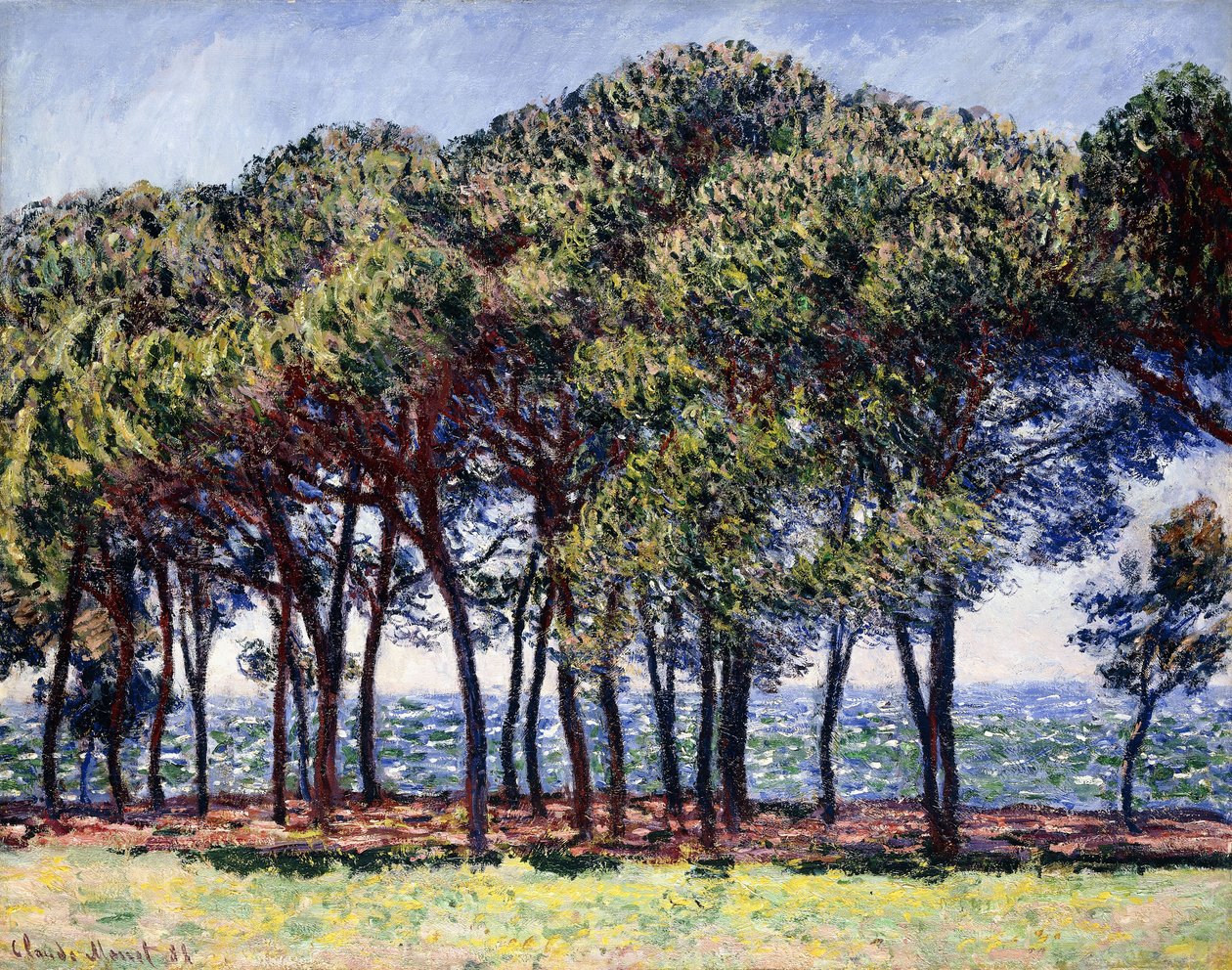 Pines, Cap d"Antibes, 1888 od Claude Monet