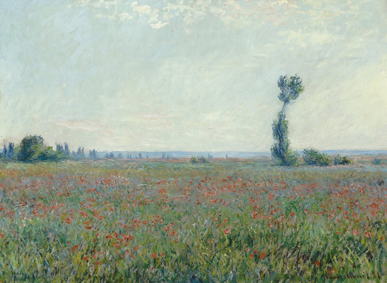 Makové pole, 1881 od Claude Monet