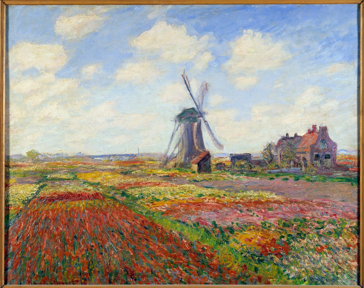 Tulipánová pole v Holandsku (s větrným mlýnem) od Claude Monet