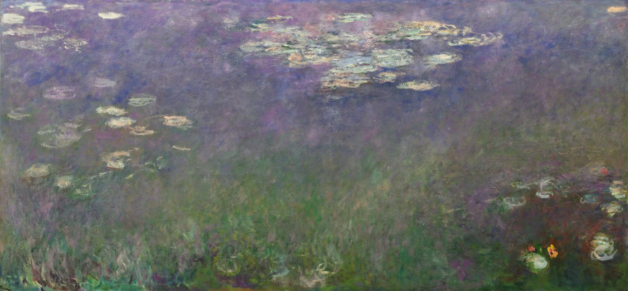 Lekníny (Agapanthus) od Claude Monet