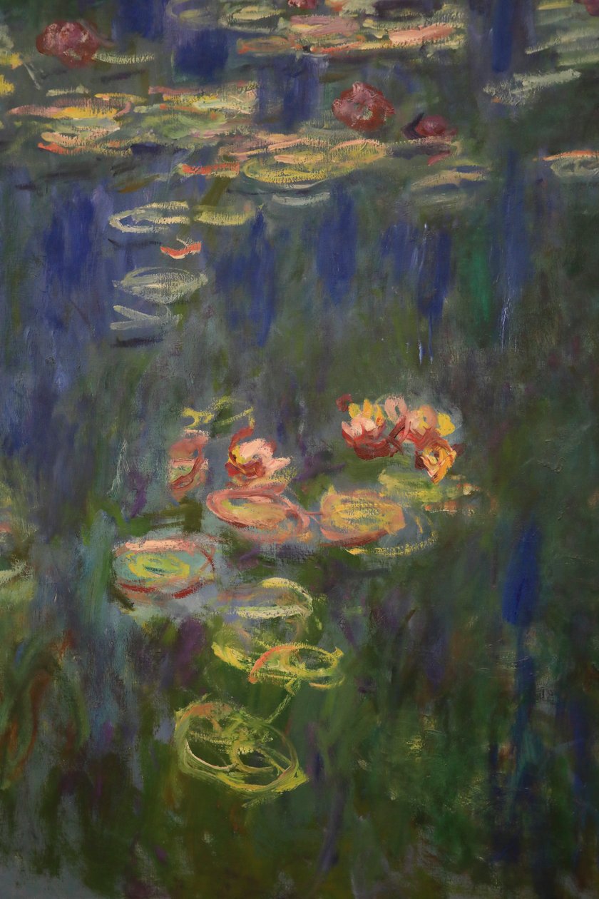 Lekníny (olej na plátně) od Claude Monet