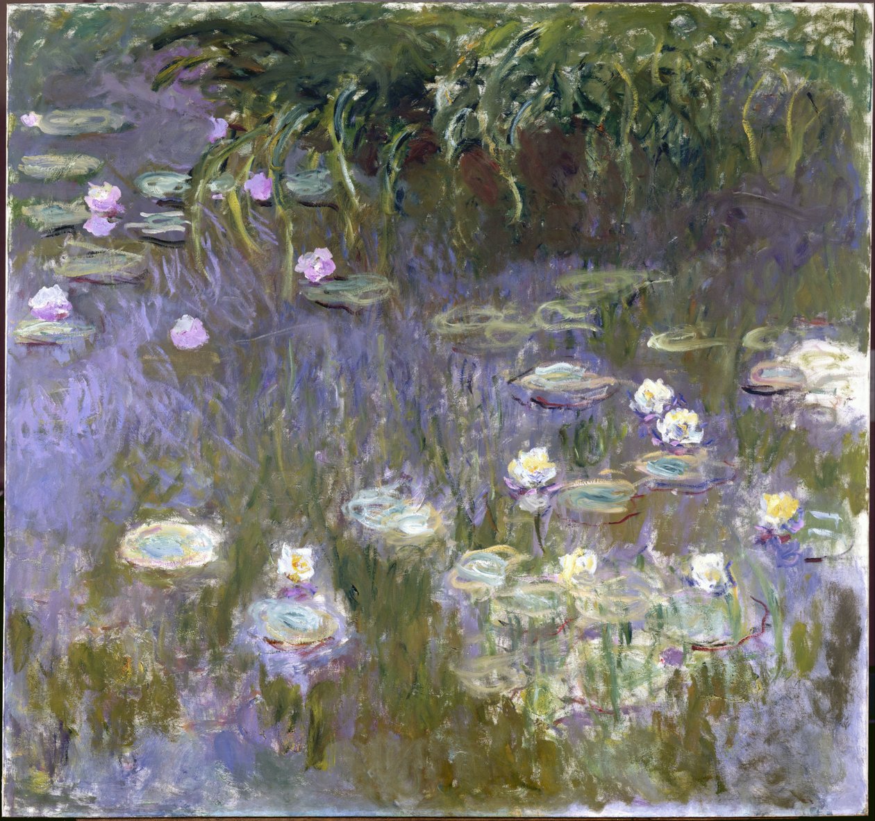 Vodní lilie od Claude Monet