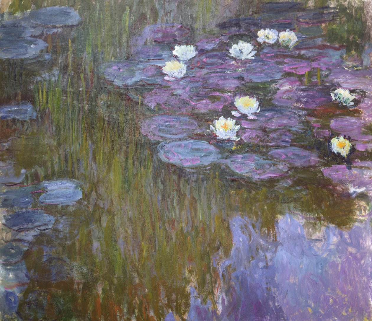 Lekníny od Claude Monet