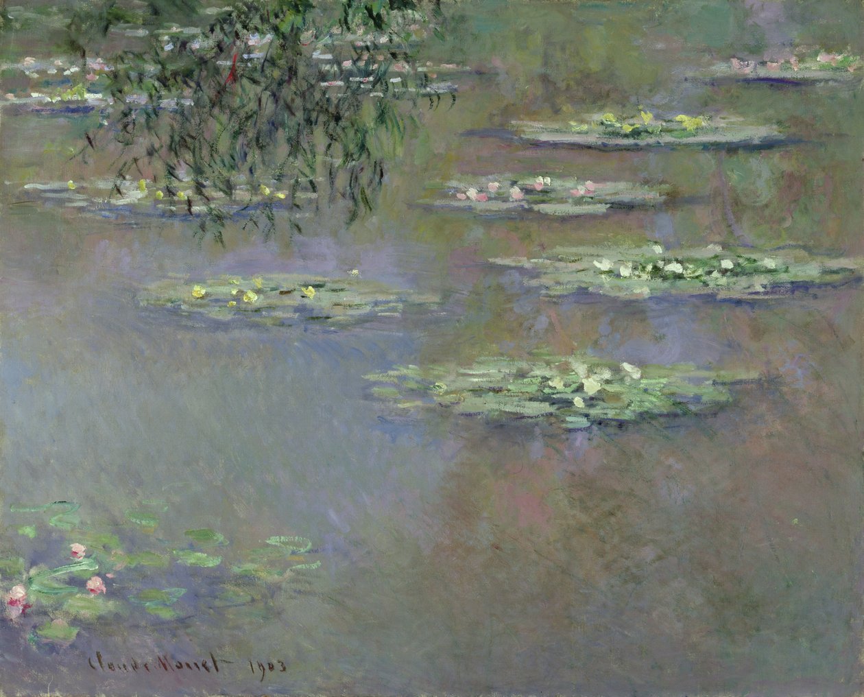 Lekníny, 1903 od Claude Monet