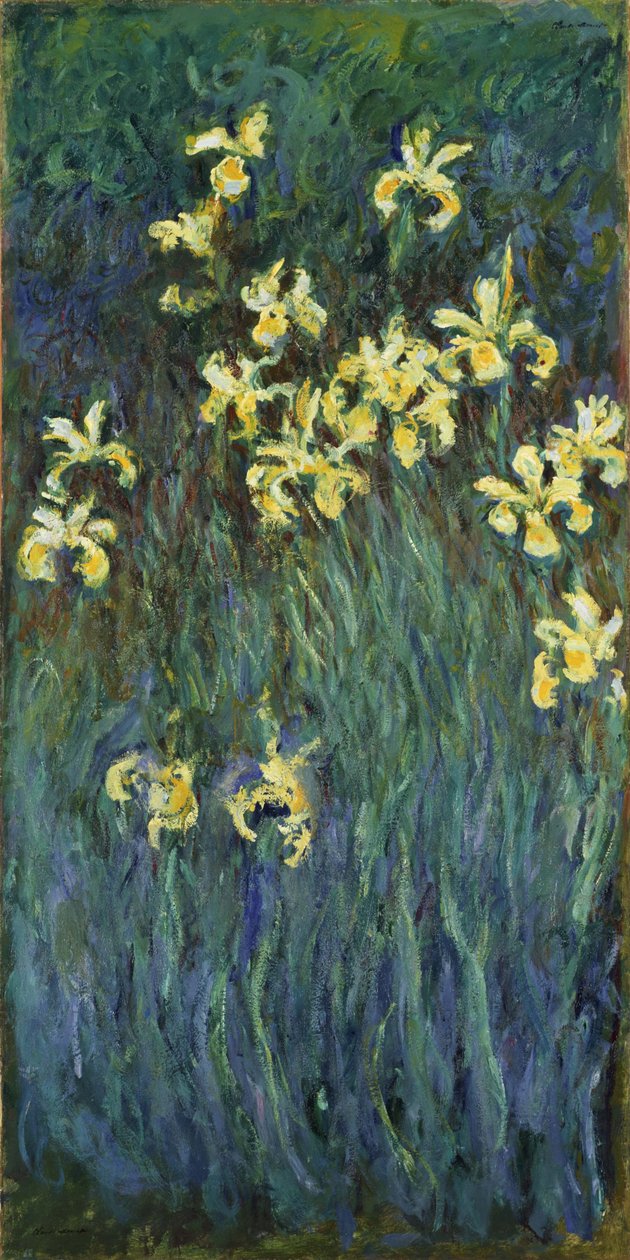 Žluté kosatce, 1914-1917 od Claude Monet