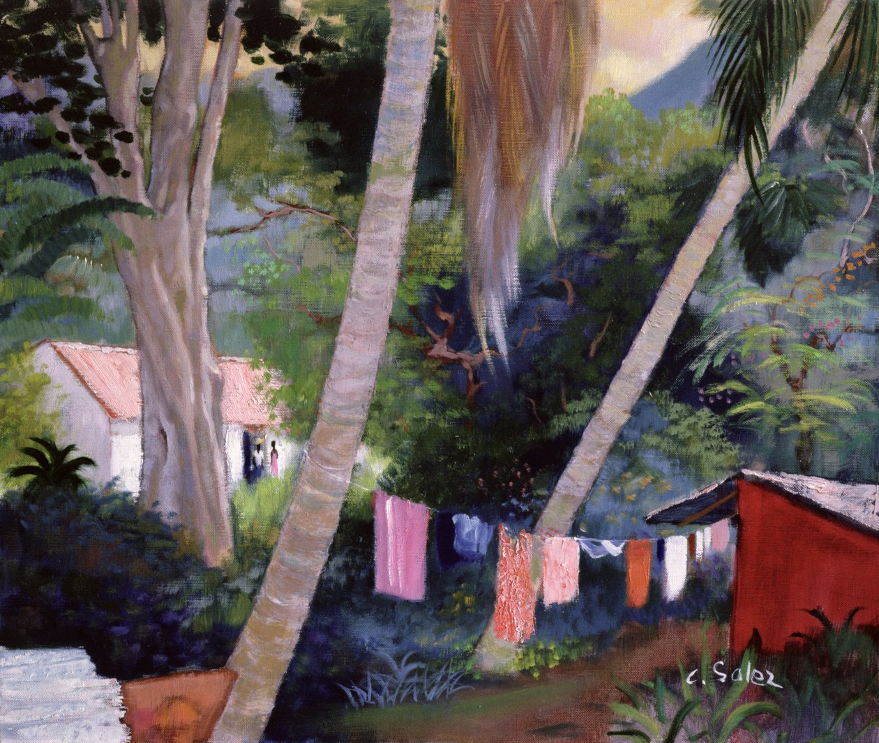 Sušení Mytí, Guadeloupe od Claude Salez