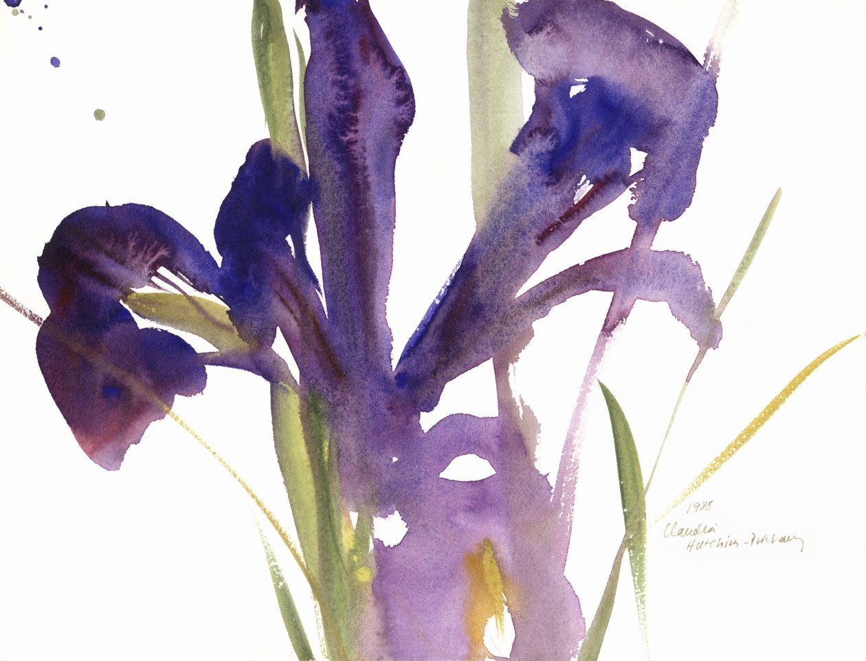 Iris, 1987 od Claudia Hutchins Puechavy