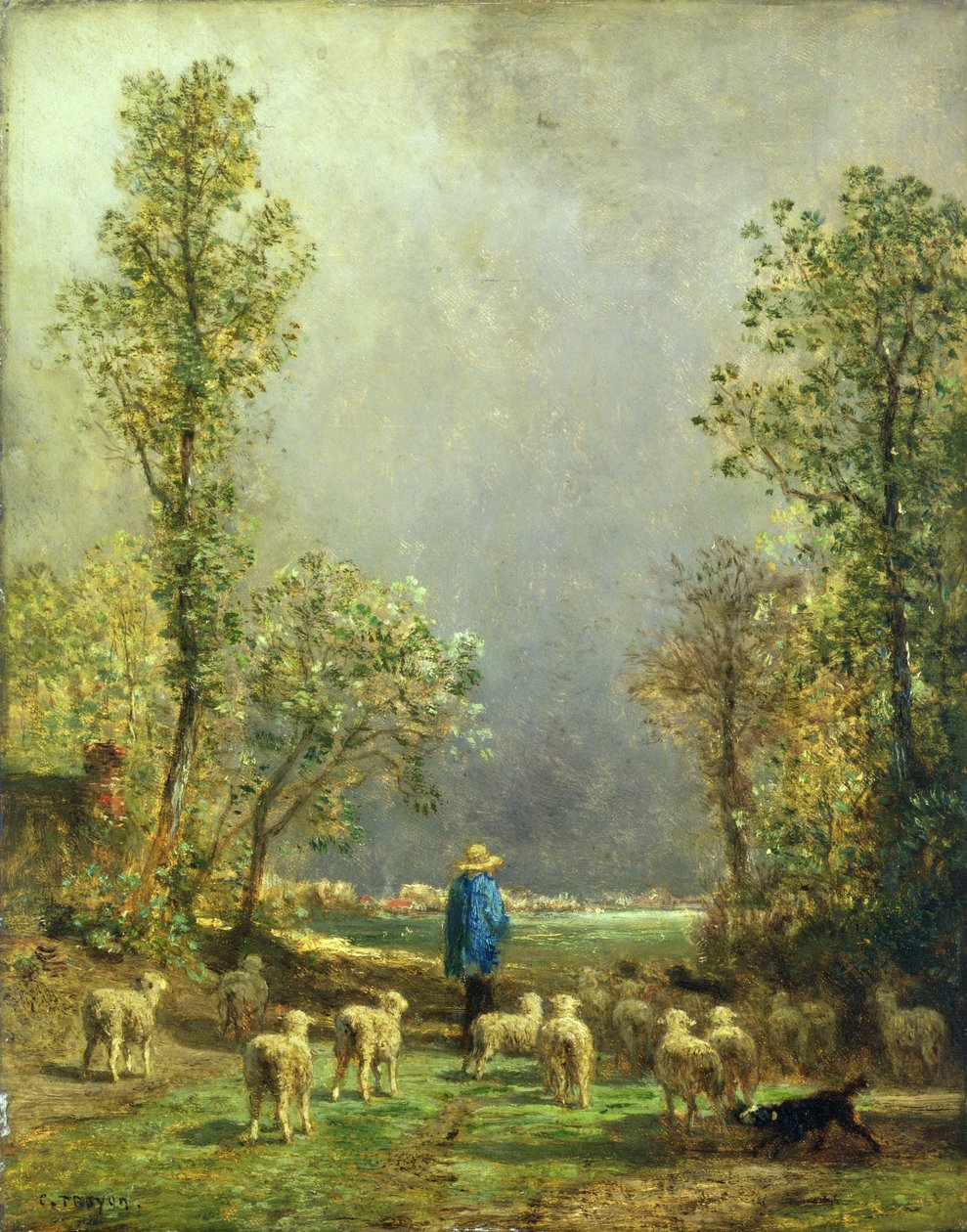 Ovce sledující bouři od Constant Emile Troyon